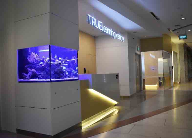 10 Best PSLE Tuition Centres in Singapore & Reviews