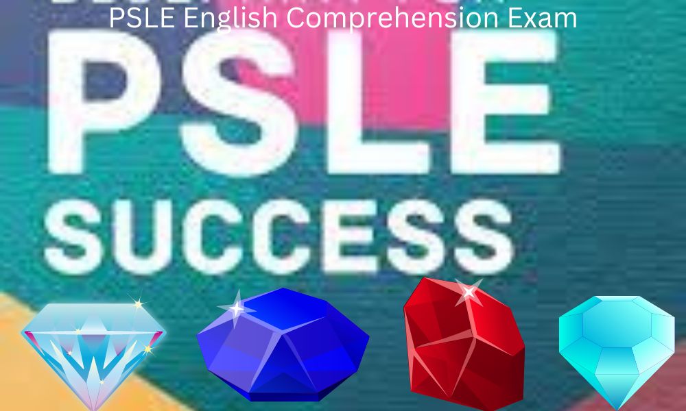 PSLE English Comprehension Exam