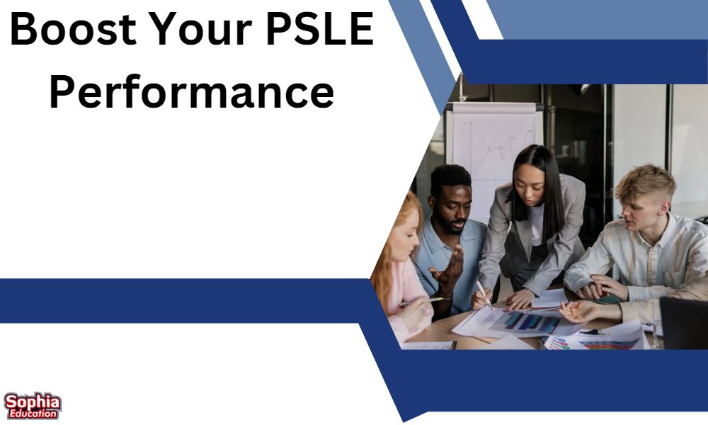 PSLE performance