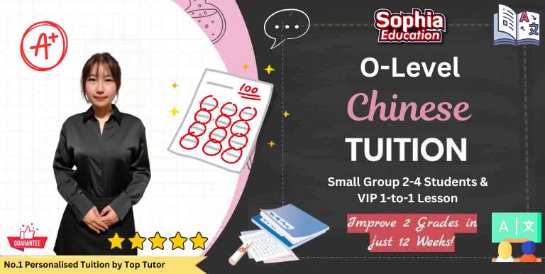 O Level Chinese tuition