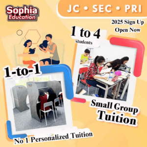 Personalized Tuition in Singapore – 1-to-4 Small Group Classes at Sophia Education for JC, Sec, and PSLE Students.