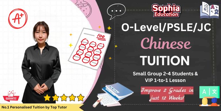 chinese tuition