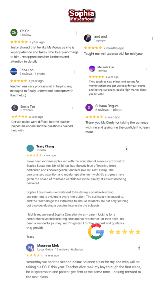 review 3 1