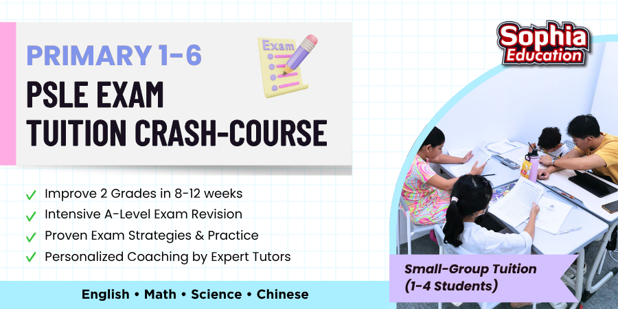 PSLE Exam Tuition Crash Course 1200 x 600